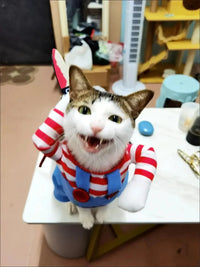 Perr Pet Chucky Custom