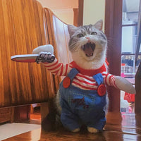 Perr Pet Chucky Custom