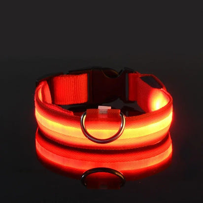 Perr-LED Dog Collar – USB Rechargeable, Waterproof & Night Safety Light