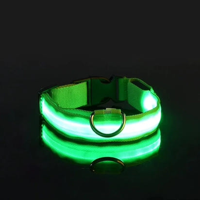 Perr-LED Dog Collar – USB Rechargeable, Waterproof & Night Safety Light