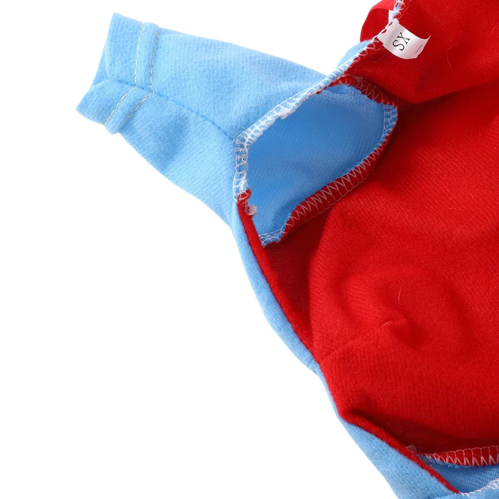 Perr Pet Chucky Custom