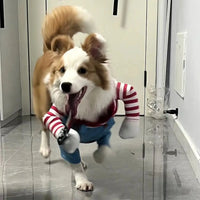 Perr Pet Chucky Custom