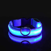 Perr-LED Dog Collar – USB Rechargeable, Waterproof & Night Safety Light