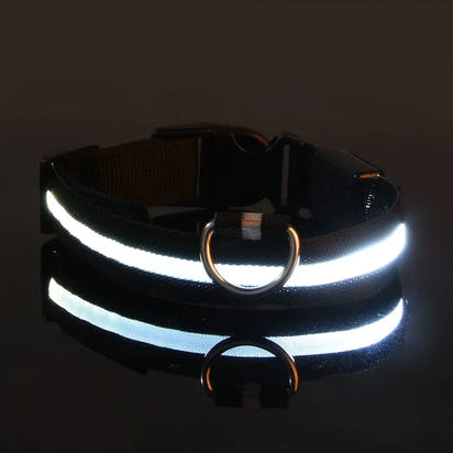 Perr-LED Dog Collar – USB Rechargeable, Waterproof & Night Safety Light