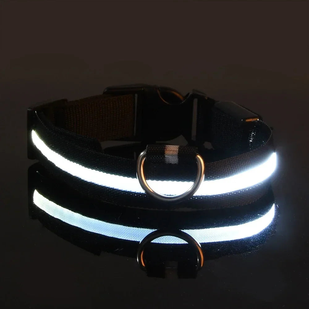 Perr-LED Dog Collar – USB Rechargeable, Waterproof & Night Safety Light