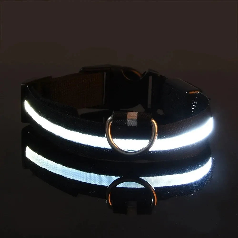 Perr-LED Dog Collar – USB Rechargeable, Waterproof & Night Safety Light