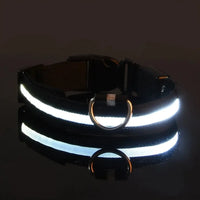 Perr-LED Dog Collar – USB Rechargeable, Waterproof & Night Safety Light