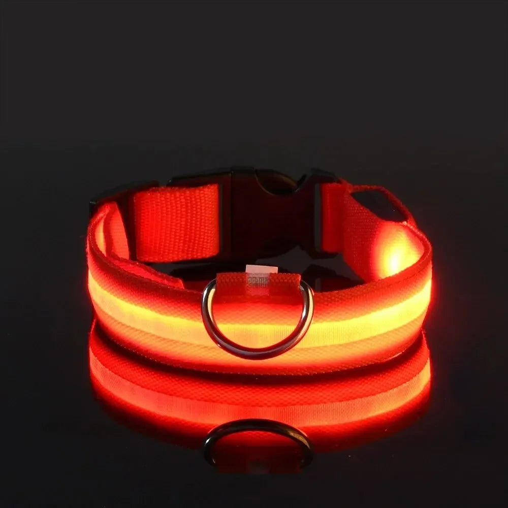 Perr-LED Dog Collar – USB Rechargeable, Waterproof & Night Safety Light