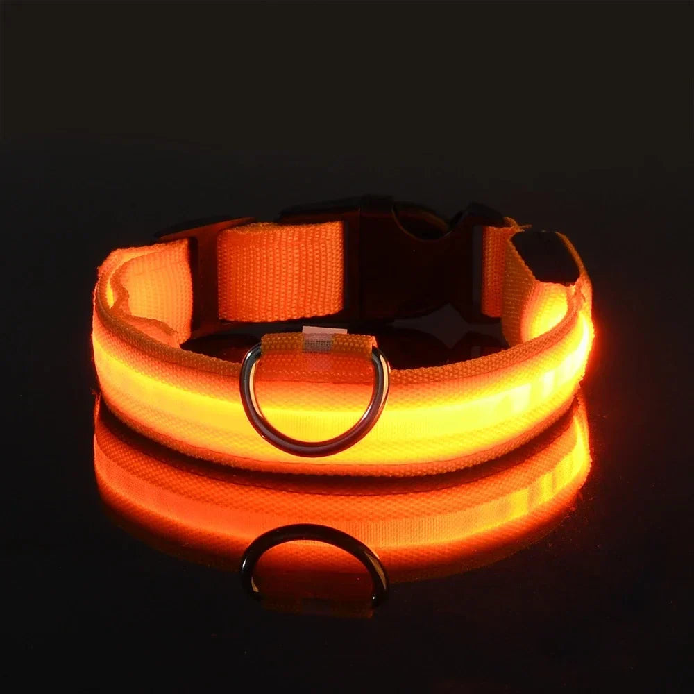 Perr-LED Dog Collar – USB Rechargeable, Waterproof & Night Safety Light
