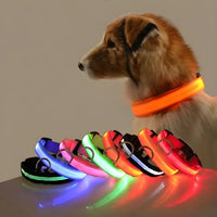 Perr-LED Dog Collar – USB Rechargeable, Waterproof & Night Safety Light