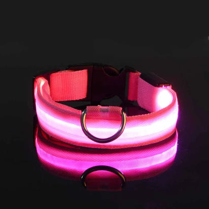 Perr-LED Dog Collar – USB Rechargeable, Waterproof & Night Safety Light