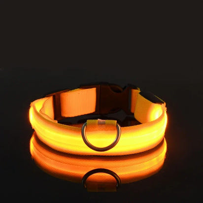 Perr-LED Dog Collar – USB Rechargeable, Waterproof & Night Safety Light