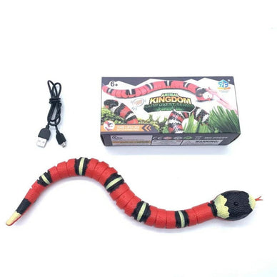 Unleash Endless Joy and Playful Adventures!